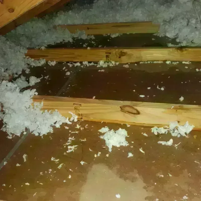 Attic Water Damage in Wisconsin Dells, WI