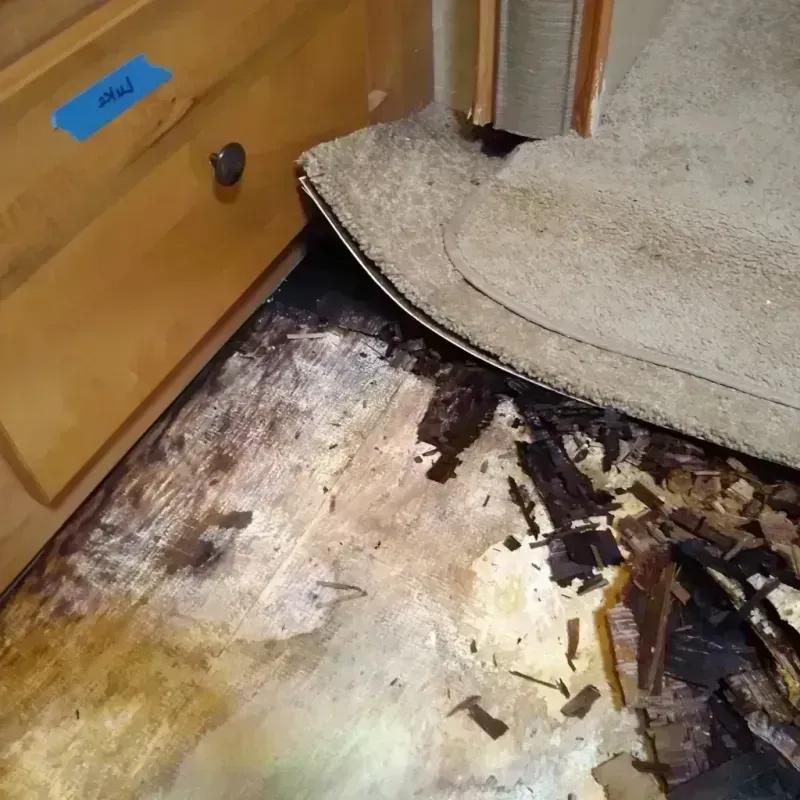 Wood Floor Water Damage in Wisconsin Dells, WI